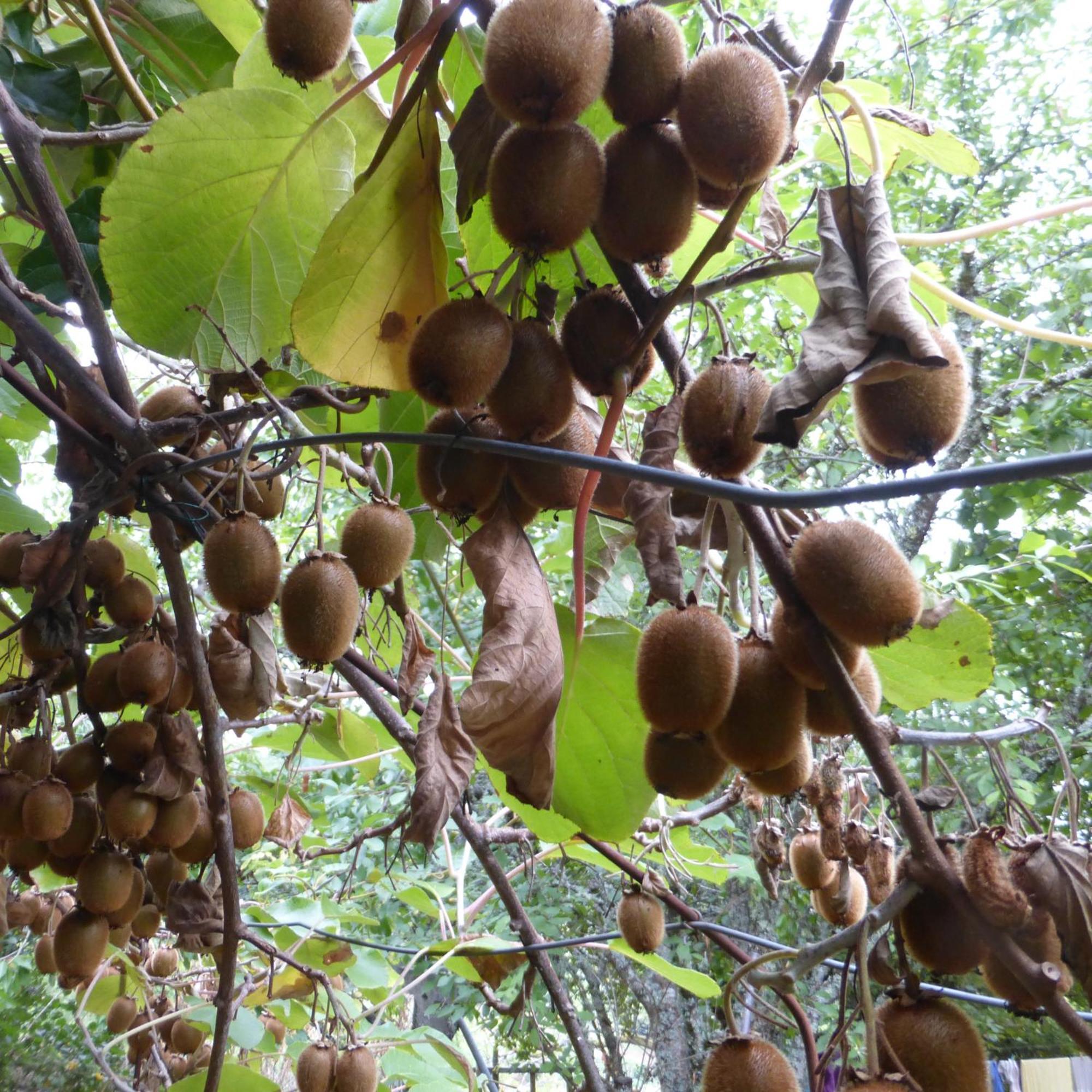 Le Bourmier Anlhiac Near Excideuil 빌라 외부 사진