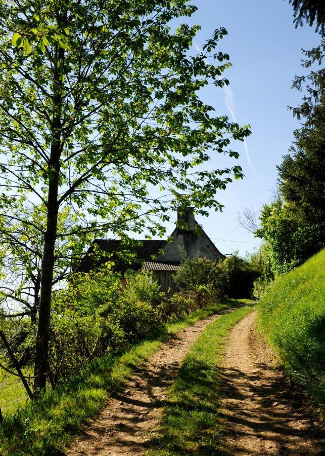 Le Bourmier Anlhiac Near Excideuil 빌라 외부 사진