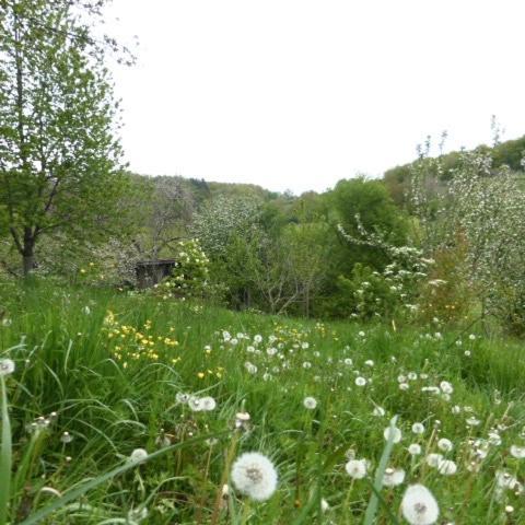 Le Bourmier Anlhiac Near Excideuil 빌라 외부 사진